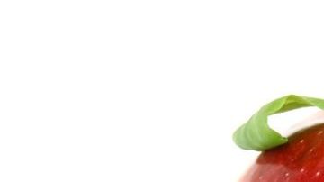 appetite-1239057_960_720