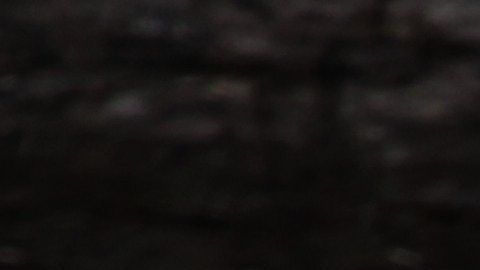 Rinoceronte.
