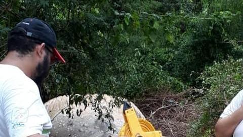 No pudieron mover al animal de la zona donde fue hallado, debido a la gran cantidad de flora.