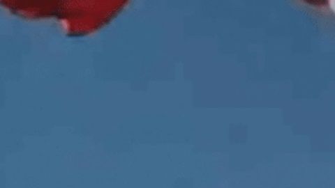 El fuerte viento provocó el accidente,