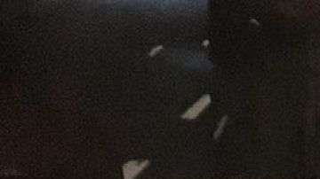 El director de Artcurial Matthieu Lamoure – que pondrán en subasta los autos en febrero – estuvo con el equipo que recuperó los Bugattis junto con el Citroën Torpedo en el que se apoya en esta foto