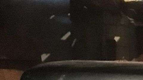 El director de Artcurial Matthieu Lamoure – que pondrán en subasta los autos en febrero – estuvo con el equipo que recuperó los Bugattis junto con el Citroën Torpedo en el que se apoya en esta foto