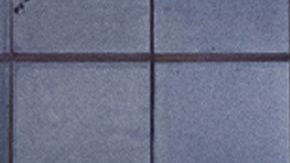 "Betty en NY", es la nueva apuesta de Telemundo