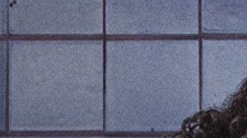 "Betty en NY", es la nueva apuesta de Telemundo