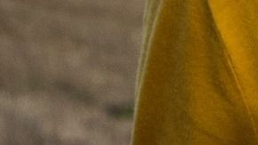 Cientos e incluso miles de libros podrías leer en tan solo un año.