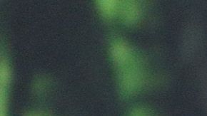 Brad Pitt está soltero.