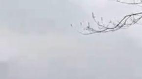 Fuertes vientos y bajas temperaturas crearon "olas de hielo".