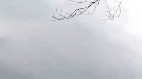 Fuertes vientos y bajas temperaturas crearon "olas de hielo".