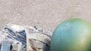 Diversos productos, además de armas, fueron hallados por autoridades.