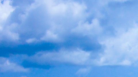 Seguramente la has probado muchas veces, ¿pero qué tanto sabes de esta marca?