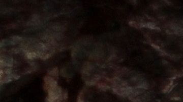 Ellas son selectivas.