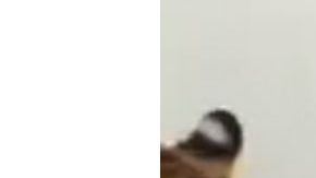 Iván Mariano Martín del Campo Riebeling, alias el “Comandante Cobra”.