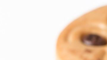 El insólito hecho se registró en un hogar del condado de Pasco, en Florida.