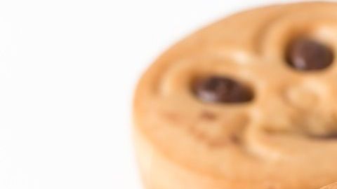 El insólito hecho se registró en un hogar del condado de Pasco, en Florida.