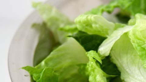 cr-health-inlinehero-romaine-e-coli-v2-0418
