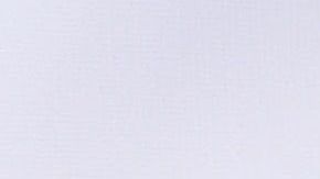 Huertas, estadounidense de origen mexicano, es la primera persona en recibir ese reconocimiento por parte de la Young Elected Officials (YEO) Network.