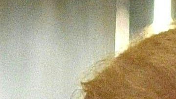 Donald Trump y su exabogado personal, Michael Cohen.