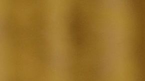 Trump, Sanders y Clinton protagonizaron la puja en 2016