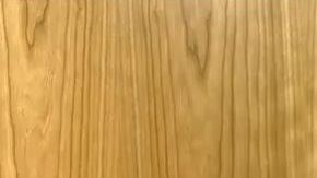 Dunleavy ofrece la Guardia Nacional de Alaska para cuidar la frontera sur.