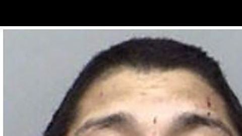 Andrew Joseph Fabila y Paige Isabow Harkings