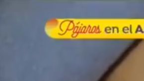 Elisa Vicedo sufiró heridas.