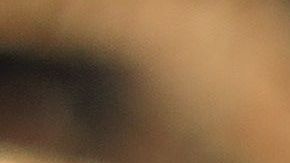 Una araña errante  cazando un lagarto.