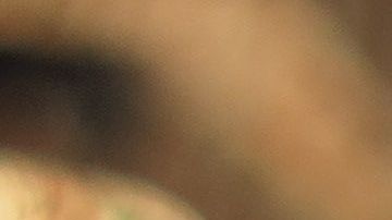 Una araña errante  cazando un lagarto.