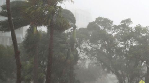 Irma pegó con fuerza a Florida.