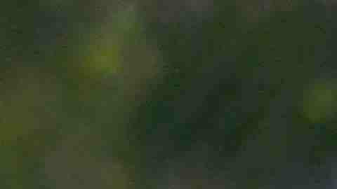 El torneo empieza en marzo y las inscripciones ya están abiertas. (Javier Quiroz / La Raza)