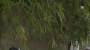 Daniel Garrido en Venezuela