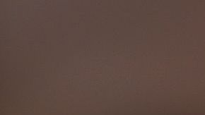 Danilo Medina, presidente dominicano.