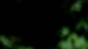 Eric Trump, el hijo del presidente es el director ejecutivo de la Organización Trump