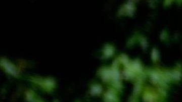 Eric Trump, el hijo del presidente es el director ejecutivo de la Organización Trump