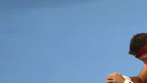 El tenista argentino Juan Martín del Potro no estará en el Abierto Mexicano de Tenis