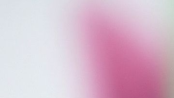 Chiquinquirá Delgado.