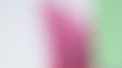 Chiquinquirá Delgado.