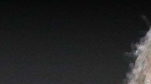 Barack Obama habló de las estrellas de rap.