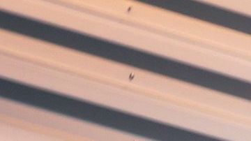 Los precios de Costco incluyen instalación