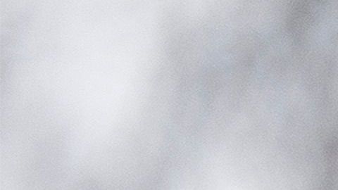 El presidente Trump dará su Estado de la Unión este martes.