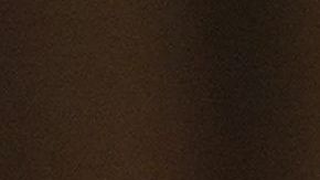 El presidente Trump enfrenta problemas en el Congreso por recursos para el muro.