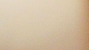 Trump no da su brazo a torcer en la construcción del muro