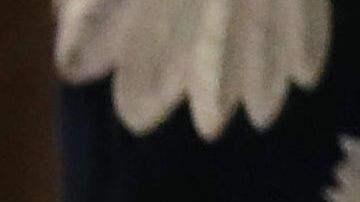 El secretario de Defensa en funciones, Patrick Shanahan, analiza la decisión del presidente Trump.