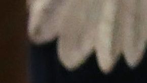 El secretario de Defensa en funciones, Patrick Shanahan, analiza la decisión del presidente Trump.