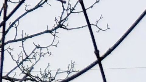 El vapor de agua se eleva sobre St. Anthony Falls en el río Mississippi.