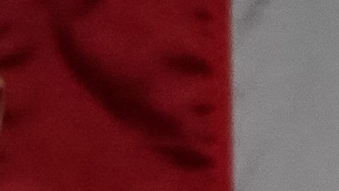 Demócratas en el Congreso no dan esta batalla por perdida