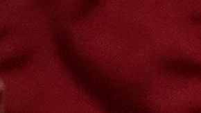 Demócratas en el Congreso no dan esta batalla por perdida