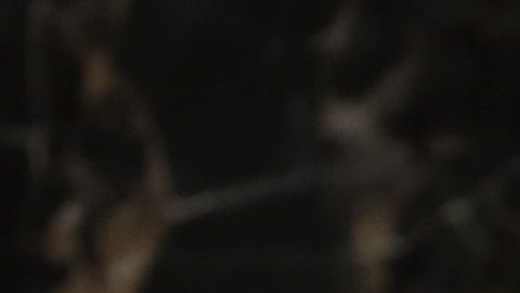 Trump durante su discurso con Mike Pence y Nancy Pelosi a su espalda.