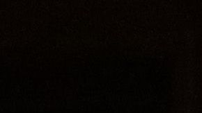 Donald Trump Jr. (segundo derecha a izquierda).