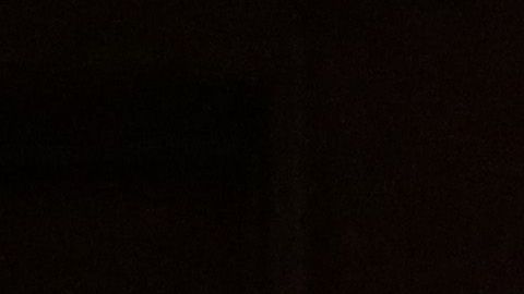 Donald Trump Jr. (segundo derecha a izquierda).