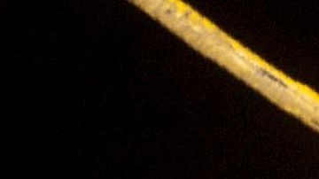 En su mayoría son inmigrantes hondureños, entre ellos, muchas mujeres y niños